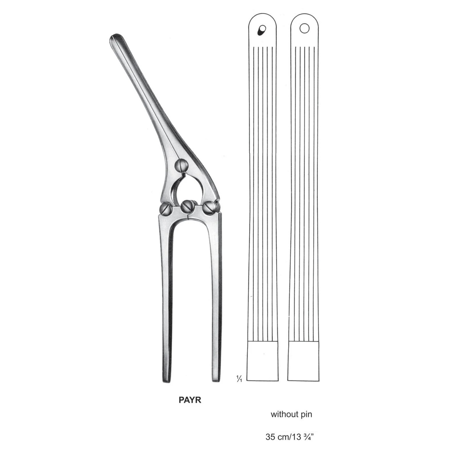 A technical diagram of Bhalli International Payr Stomach Clamp from 14.jpg, showcasing its compound-hinge frame, elongated jaws, and a 1:1 scale illustration detailing the longitudinal serrations and without pin design.