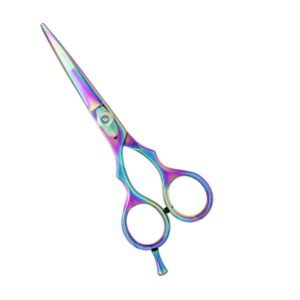 Professional stainless steel hair cutting shears completely coated in a reflective rainbow multi-color titanium finish shifting between purple, pink, blue, yellow, and green, featuring an adjustable tension pivot screw, an integrated permanent finger rest tang, and a black rubber bumper silencer, shown in 29.jpg against a clean white background.