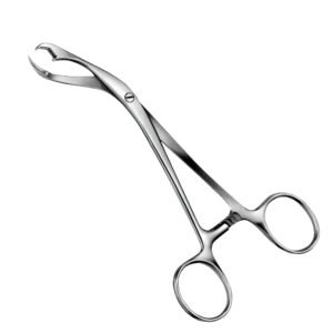 Medical-grade stainless steel Verbrugge bone holding forceps featuring curved jaws, pronged tips, a secure ratchet mechanism, and ergonomic finger rings against a white background.