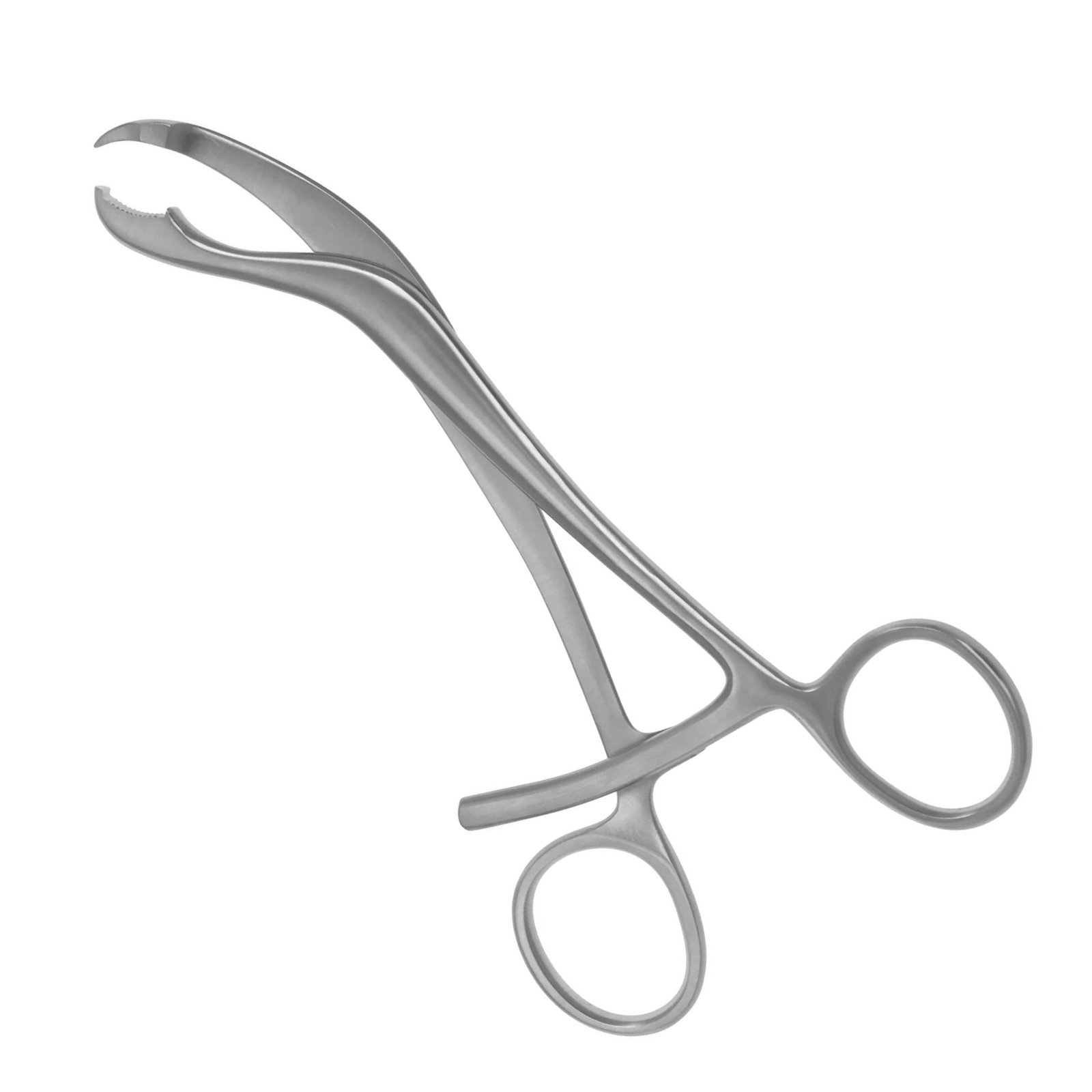Medical-grade stainless steel Verbrugge bone holding forceps with curved serrated jaws and a speed lock mechanism for orthopedic bone fixation surgeries.
