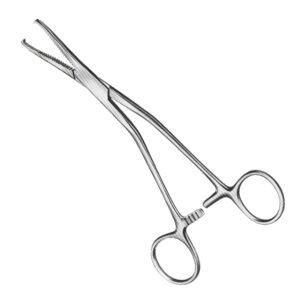 Medical-grade stainless steel Pean bone holding forceps featuring straight serrated jaws with prongs and a multi-position ratchet lock mechanism for orthopedic surgeries.
