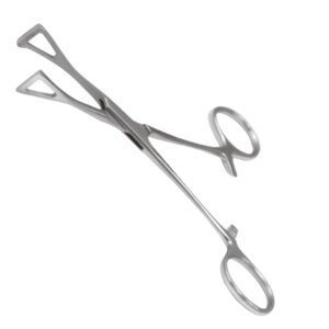 A pair of surgical-grade stainless steel Collin Triangular Lung Grasping Forceps featuring wide fenestrated triangular jaws with serrated tips, a box lock joint, and ring handles with a ratchet mechanism, isolated on a white background, as pictured in 41.jpg.