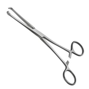 A pair of stainless steel Lane Tissue Forceps with ring handles and toothed jaws, shown at an angle on a white background.