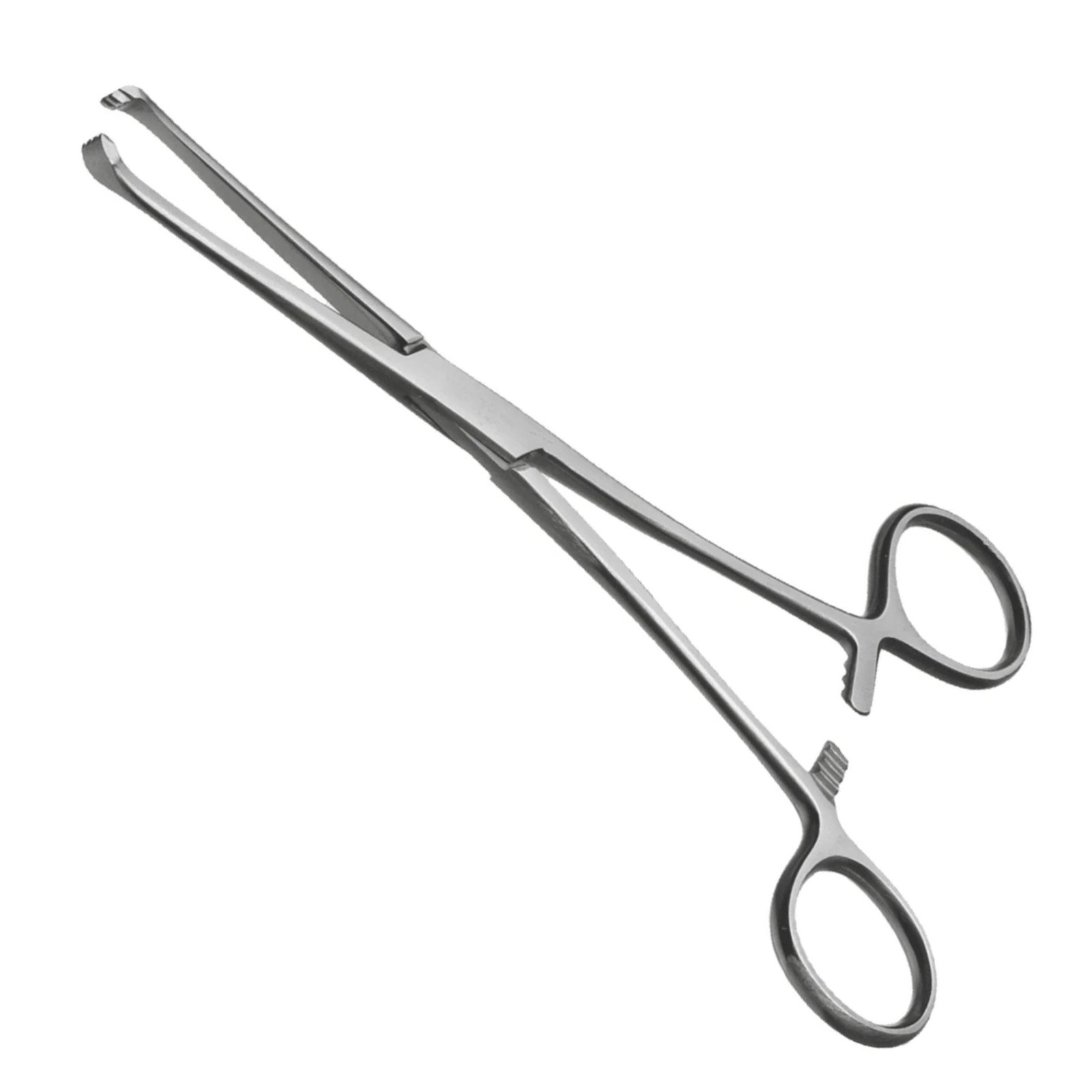A pair of stainless steel Lane Tissue Forceps with ring handles and toothed jaws, shown at an angle on a white background.