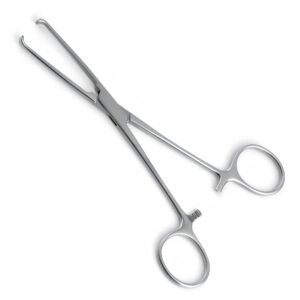 Surgical stainless steel Lane Tissue Forceps featuring inward-curved serrated jaws and ring handles with a locking ratchet mechanism, isolated on a white background with a soft shadow.