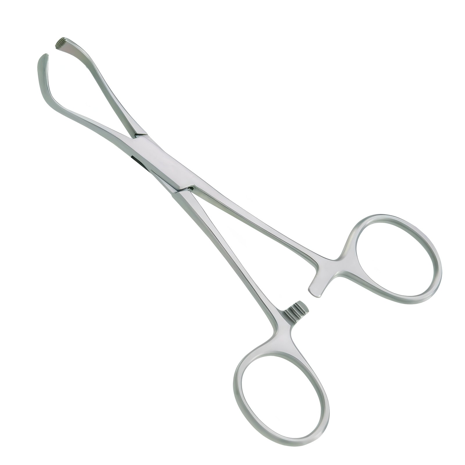 Medical-grade stainless steel Lorna towel clamp featuring inwardly curved jaws with fine inner serrations and a multi-position ratchet lock, isolated on a white background.