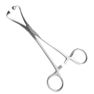 High-grade stainless steel ball and socket towel clamp forceps isolated on a clean white background, used for securing drapes in surgical procedures.