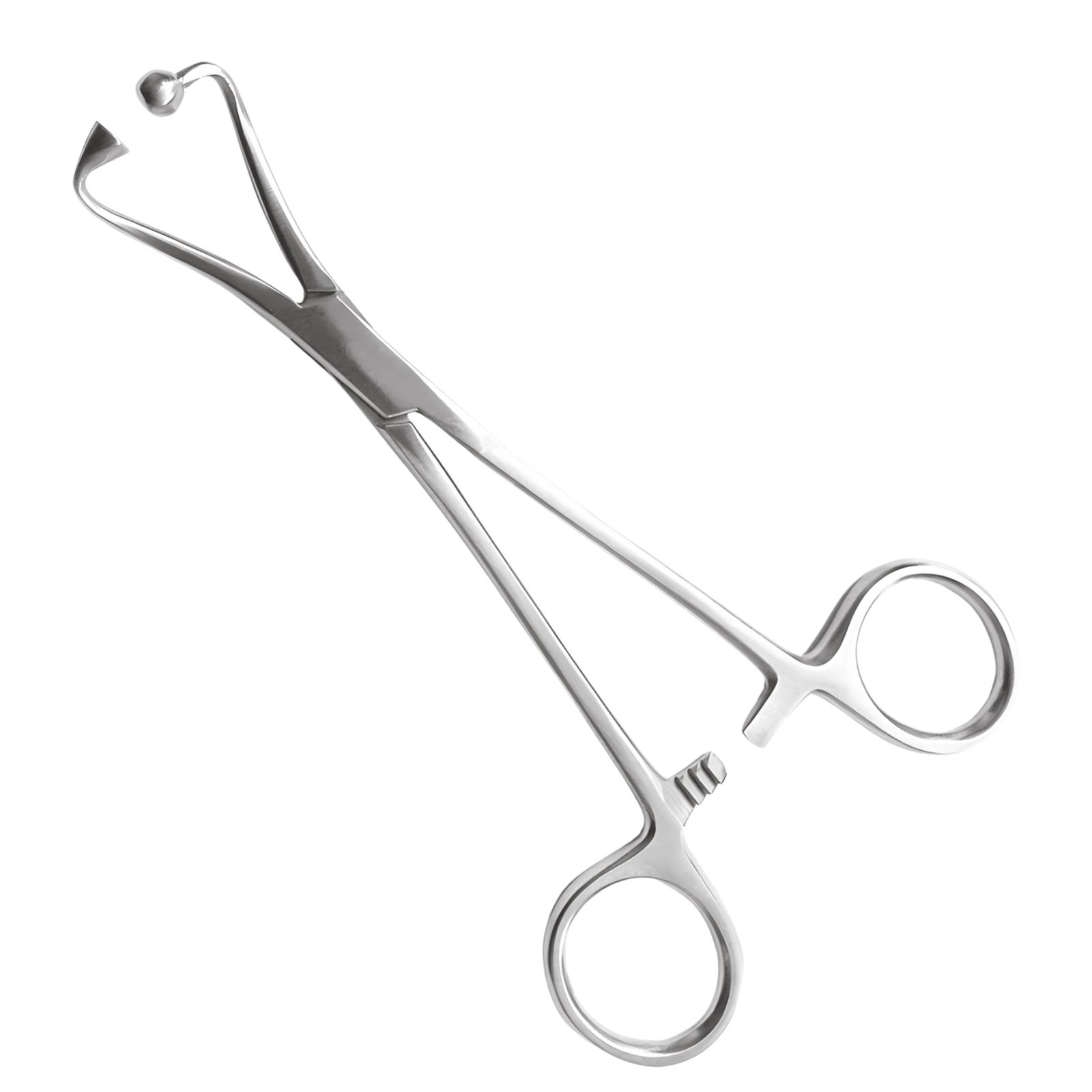 High-grade stainless steel ball and socket towel clamp forceps isolated on a clean white background, used for securing drapes in surgical procedures.