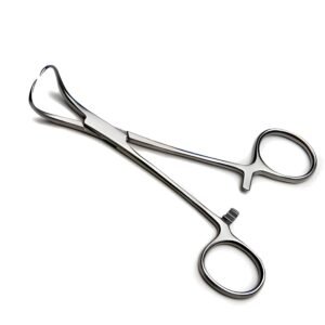 Medical-grade stainless steel Backhaus towel clamp featuring curved jaws with sharp perforating tips and an integrated ratchet lock, isolated on a white background.