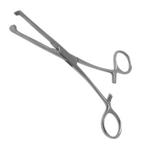 Medical-grade stainless steel Lane Tissue Forceps with serrated jaws and ring handles, isolated on a white background.